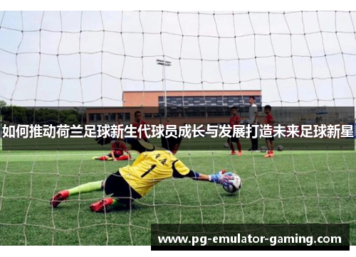 如何推动荷兰足球新生代球员成长与发展打造未来足球新星