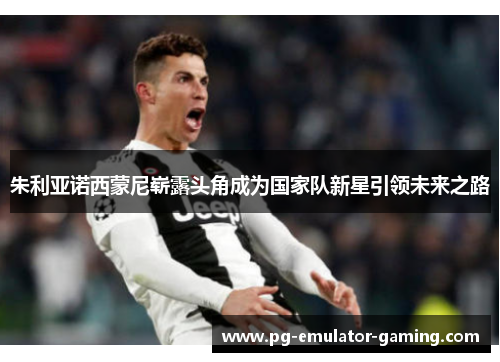 朱利亚诺西蒙尼崭露头角成为国家队新星引领未来之路