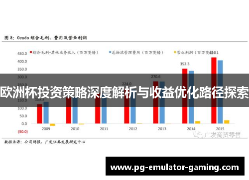 欧洲杯投资策略深度解析与收益优化路径探索