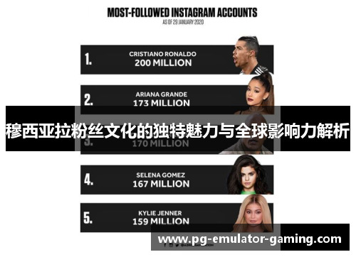 穆西亚拉粉丝文化的独特魅力与全球影响力解析