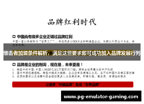 维击者加盟条件解析，满足这些要求即可成功加入品牌发展行列