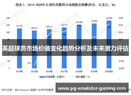英超球员市场价值变化趋势分析及未来潜力评估 英超球员市场价值变化趋势分析及未来潜力评估