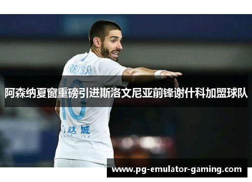 阿森纳夏窗重磅引进斯洛文尼亚前锋谢什科加盟球队 阿森纳夏窗重磅引进斯洛文尼亚前锋谢什科加盟球队